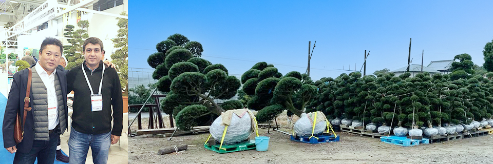 business-introduction